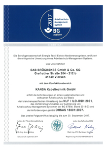 Arbeitsschutzmanagement nach NLF/ILO-OSH 2001 und OHSAS 18001:2007